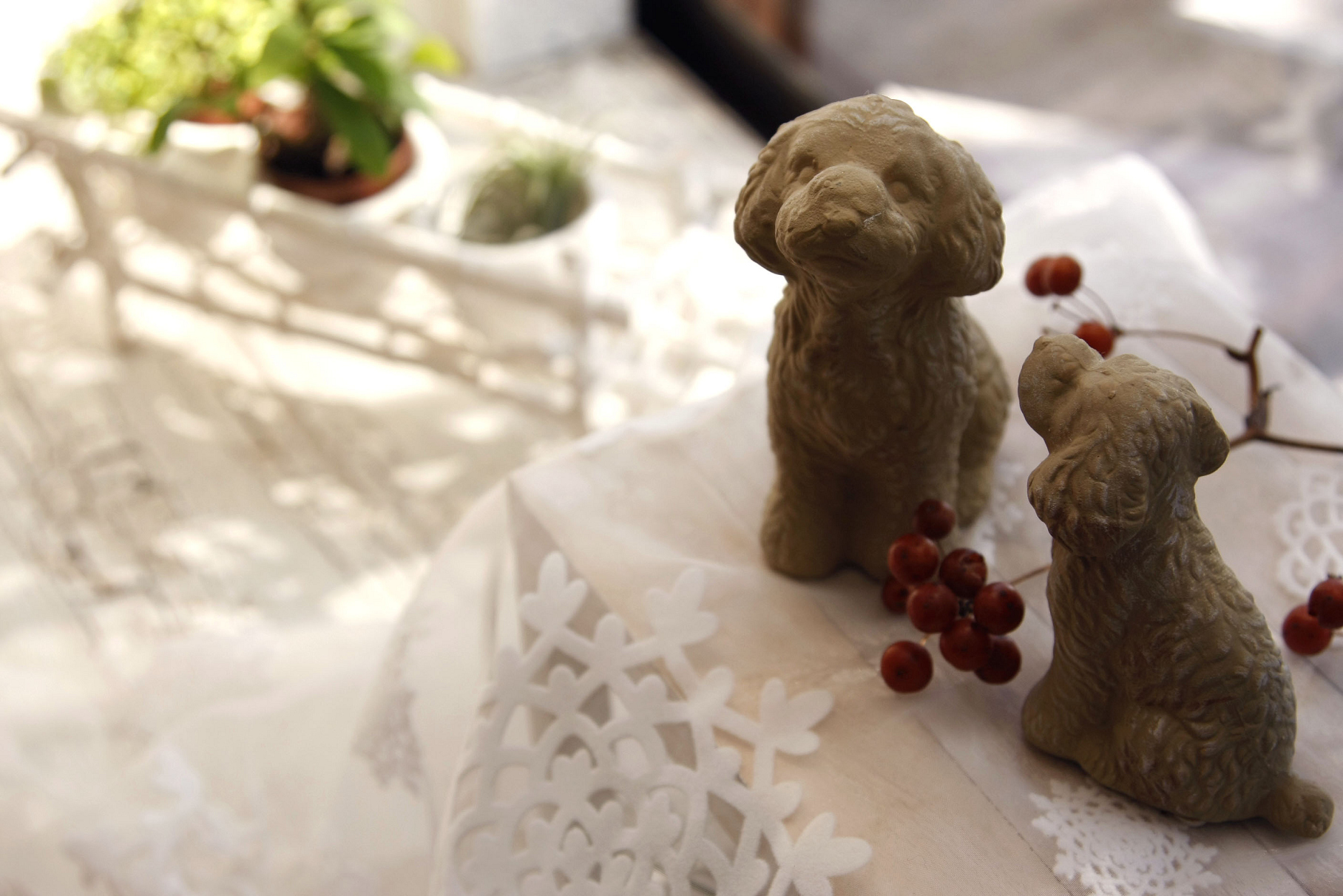 株式会社わんむすび